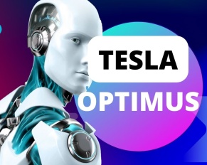 Tesla Optimus Robot