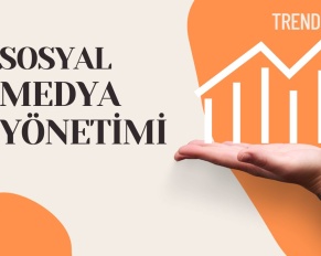 Sosyal Medya Yönetimi