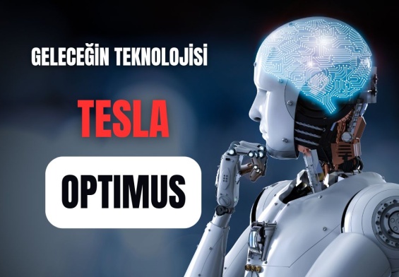 Tesla Optimus