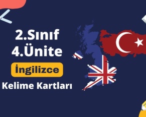 2. Sınıf 4. Ünite İngilizce Kelimeler - Kelime Kartları
