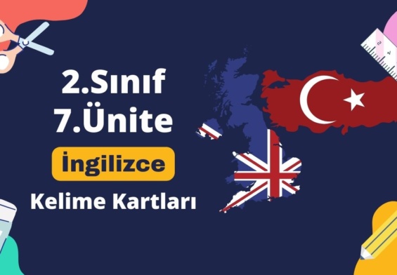 2. Sınıf 7. Ünite Kelimeler Kelime Kartları