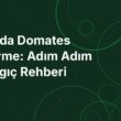 Balkonda Domates Yetiştirme: Adım Adım Başlangıç Rehberi