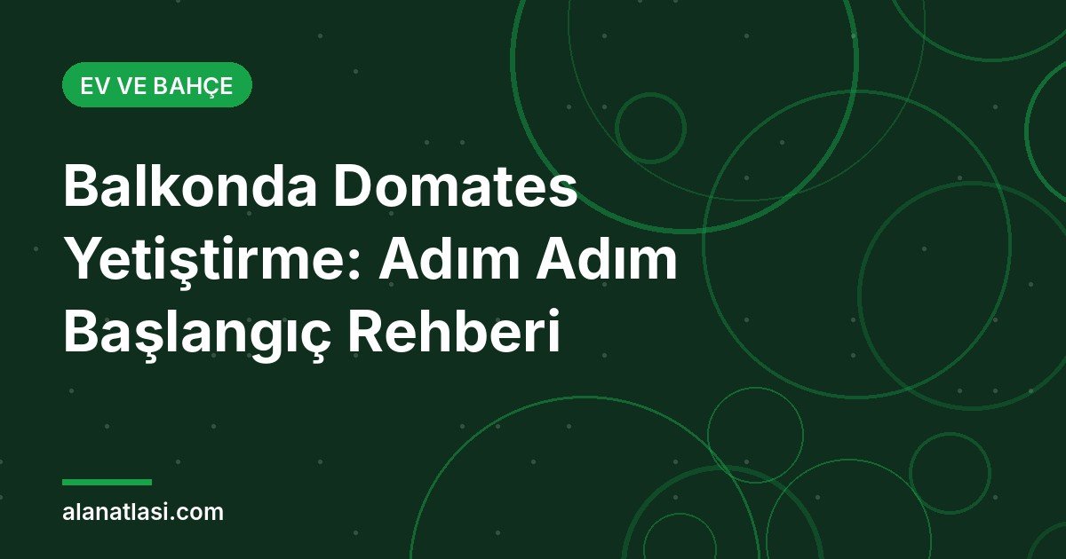 Balkonda domates yetiştirme için saksıda büyüyen domates rehberi kapak görseli