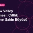 Stardew Valley İncelemesi: Çiftlik Hayatının Sakin Büyüsü